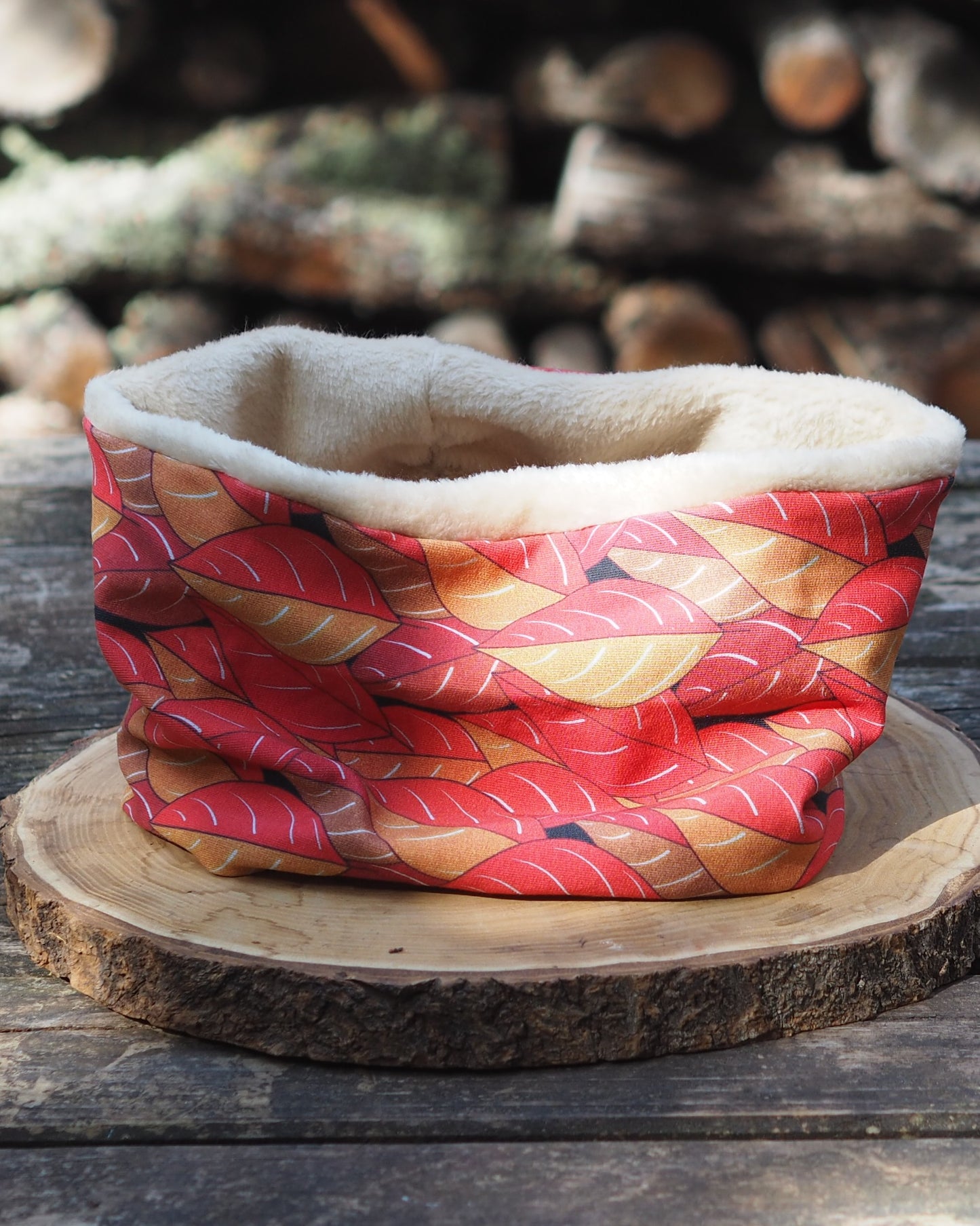 Feuilles d'automne-1